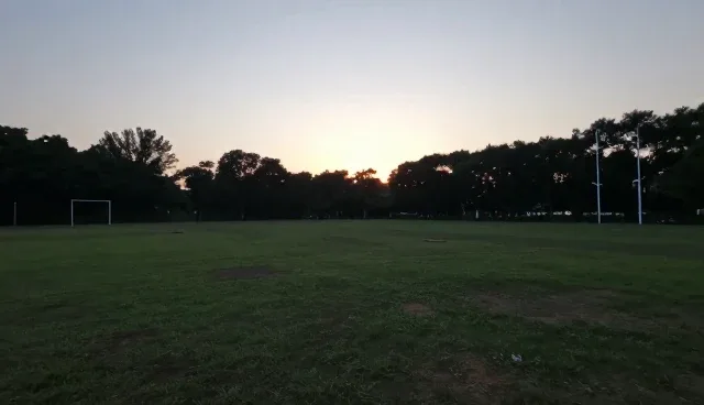 提升信息服务效率的实用技巧与日常维护策略